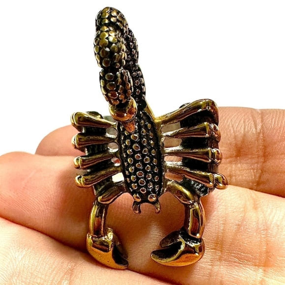 Scorpion Ring for Men – 316L Stainless Steel | Gold & Silver Gothic Jewelry - Picture 7 of 7